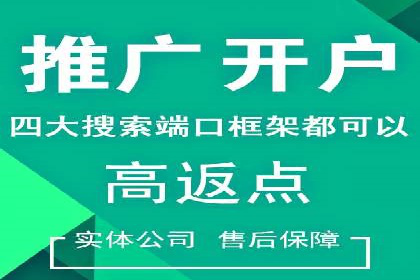 案例分析：SEM竞价托管代运营优势
